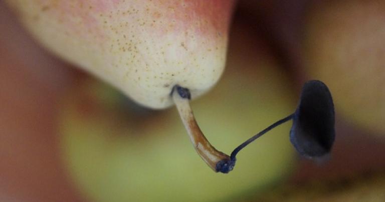 cervical-massage-during-yoni-0