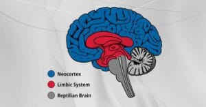 yoni-massage-i-dont-understand-0