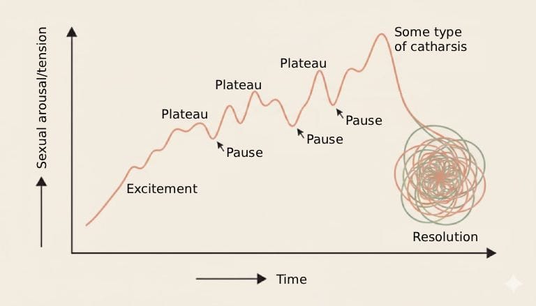 A technical diagram of the somatic sexual response cycle showing a rising line with undulating waves labeled as "Plateau" and "Pause" leading to a peak labeled "Some type of catharsis," followed by a descending line into a spiral labeled "Resolution." The style uses soft terracotta and sage colors on a warm beige background.