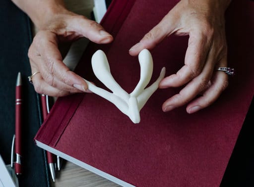 Melbourne urologist Helen O’Connell holds an anatomically correct clitoris.